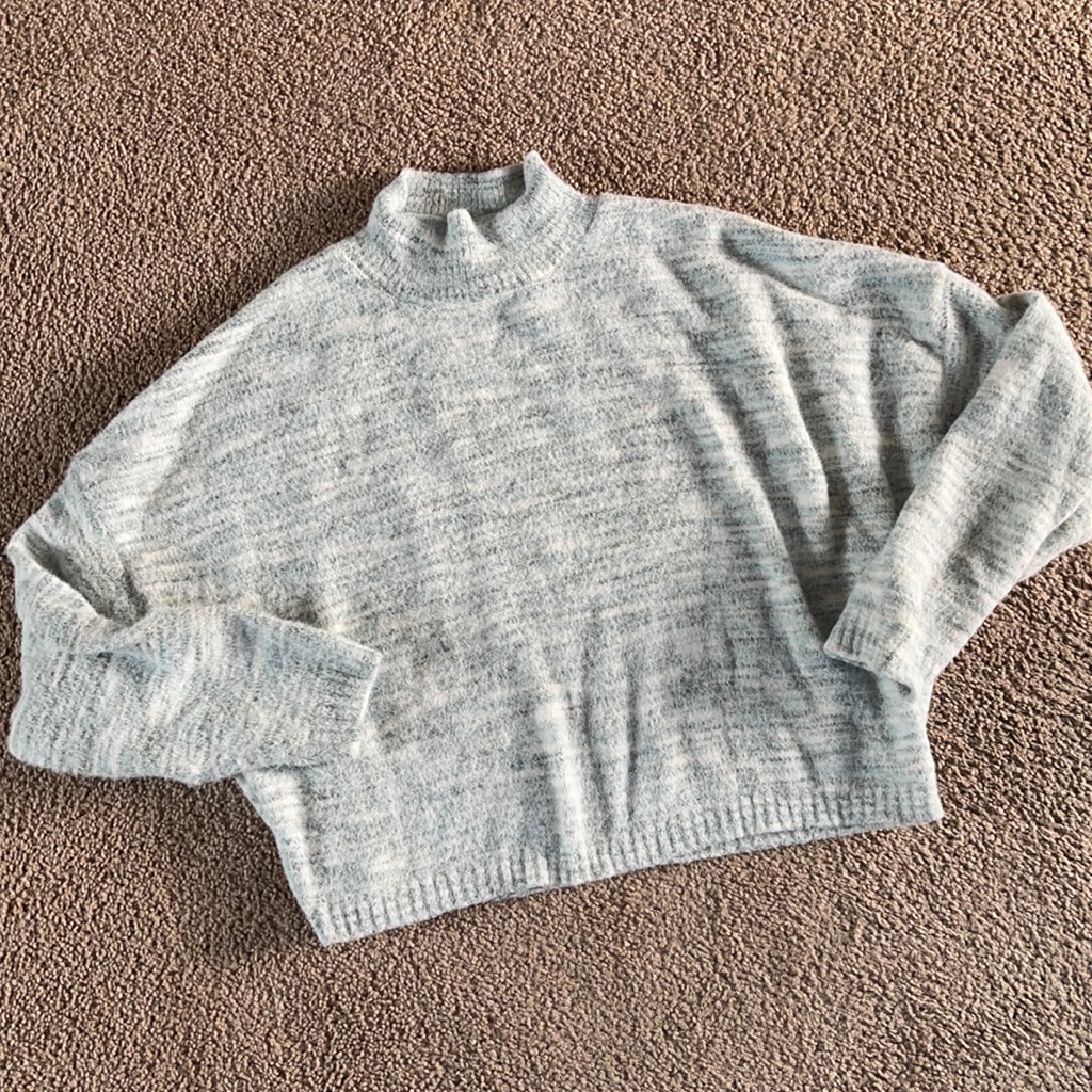 Sincerely Jules Fuzzy Crop Sweater